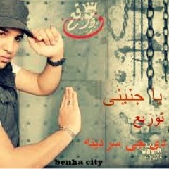 شعبان البغبغان يا جنينى توزيع دى جى سردينه