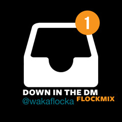 Waka Flocka - Down In The DM (Flockmix)