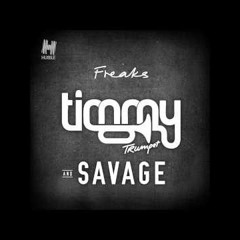 Timmy Trumpet -Freaks  (DJ WRIGHT) Sped Up