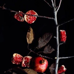 چی شد که شب شد