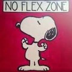 MGT - No Flex Zone Remix