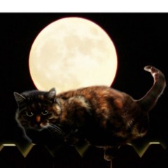 Christmas Sex - Pt 1 - Cat on a Full Moon