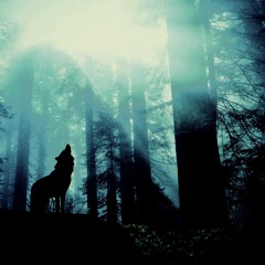 Must Päike - Öö Sulased