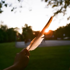 North Phlly Flower co-produced with @Mannyroach