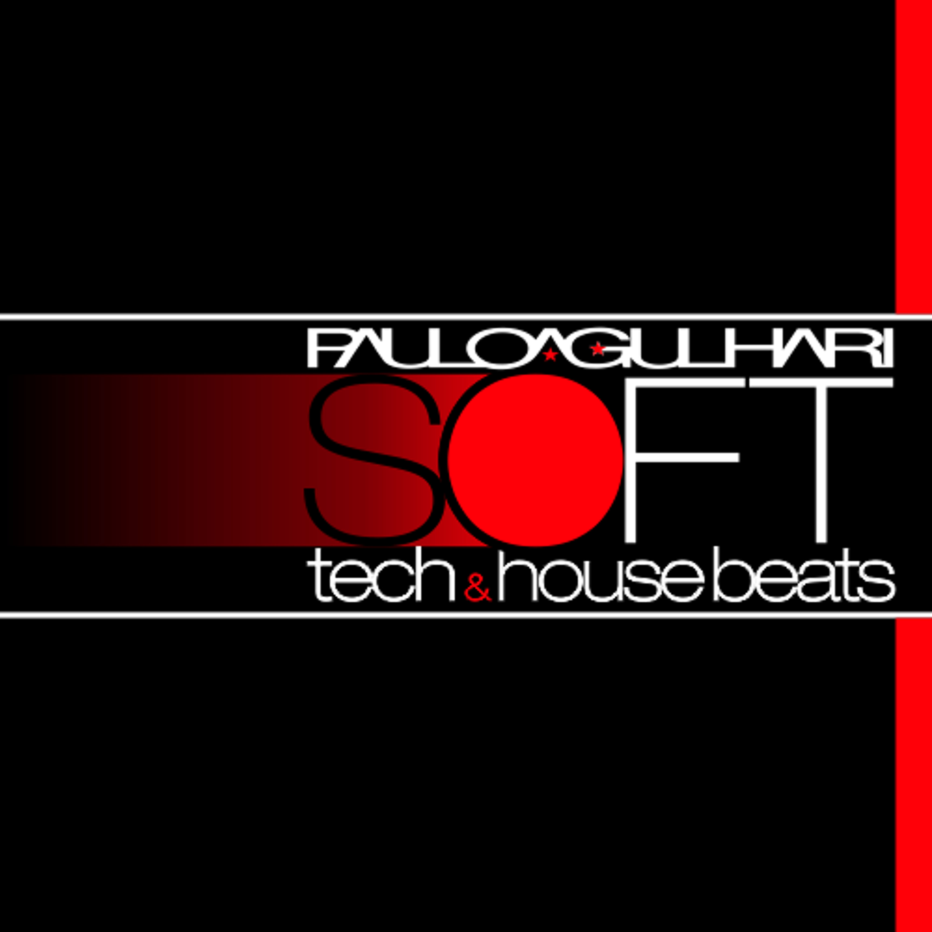 DJ Paulo Agulhari