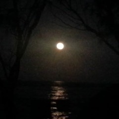 Van Morrison - Moondance