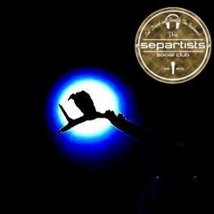 CITY OF VULTURES - THE SEPRARTISTS SOCIAL CLUB(w RASTAMOUSE)