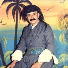 سید محمد صفایی