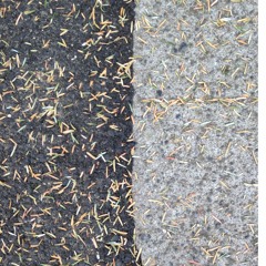 Exaggerated Mess (demo)