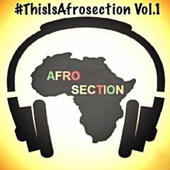 #ThisIsAfrosection Vol. 1 Hosted by @DJKwamz