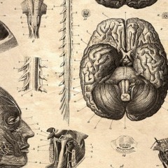 Think Of New Ways Of Thinking