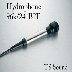 Hydrophone Library Demo