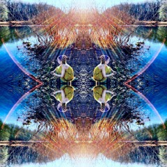 Maha Sadhana Mix At Evenflow By Bass Mittra 12:19:15
