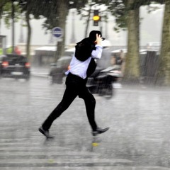 Lazy Hurry Rainy Day