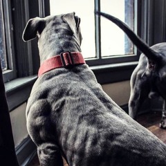 300 SPARTANS Freestyle ft L's Prod. DT Hitz