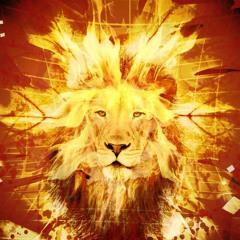 Psychosomatic Tunes 8