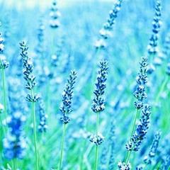 여자는 말 못하고 남자는 모르는 것들