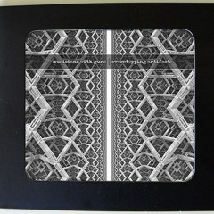 Musicians With Guns - Lost In A Different Coordinate System (Unmastered)