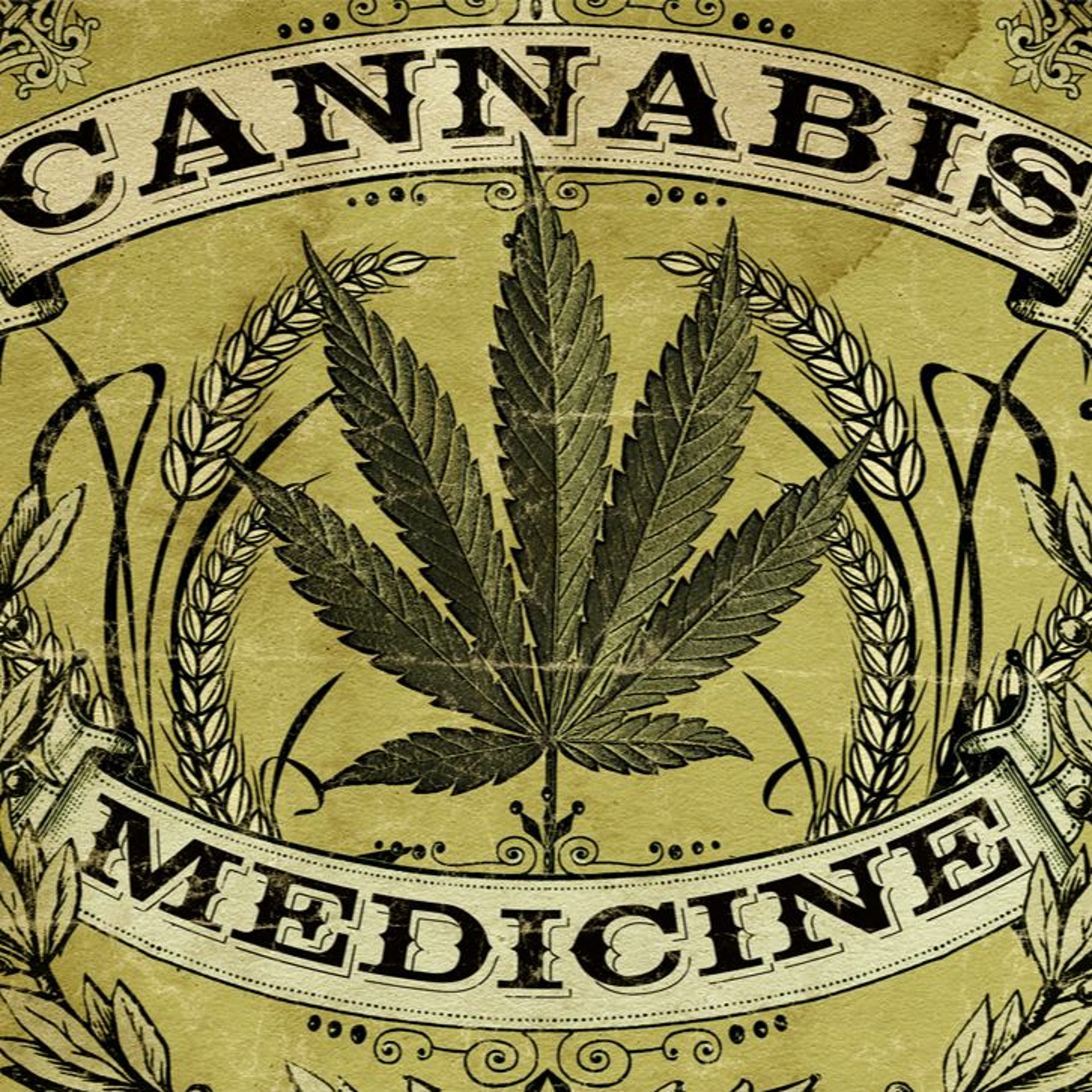 Cannabis Meds episode artwork