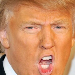 This Week in Stupid (20/12/2015)