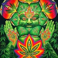 DELIRIUM TREMENS KILLAH - 7 PUNTAS