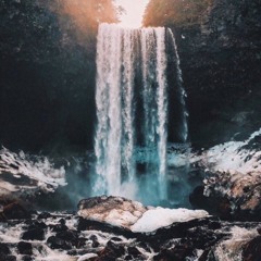 d h a r ā - n i c e