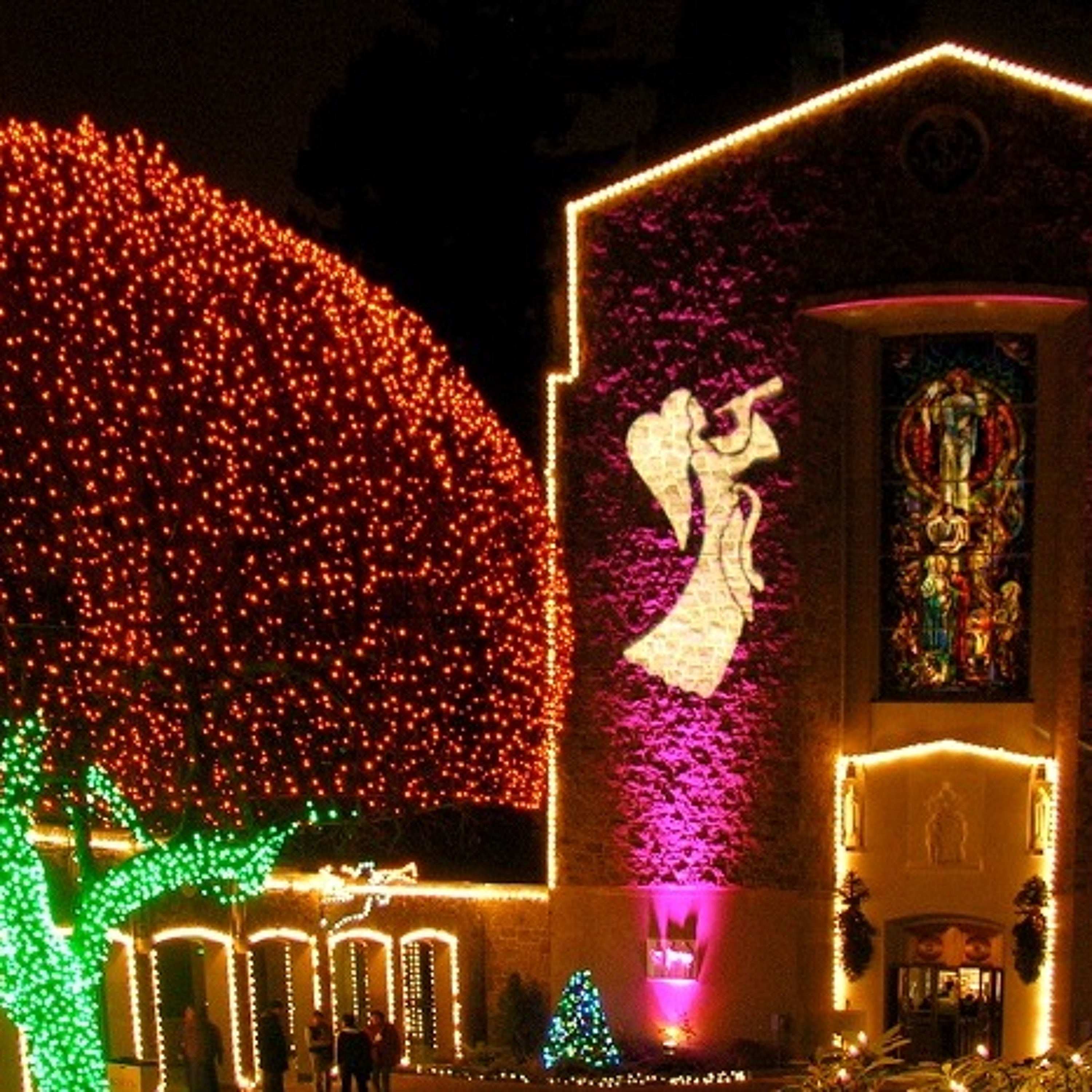 Rose City Forum - The Grotto's Festival Of LIghts, GOP Debate episode artwork
