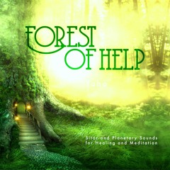Forest of Help