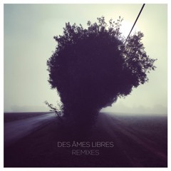 Des Ames Libres - Up And Down (Brunetto Remix) *FREE DL*