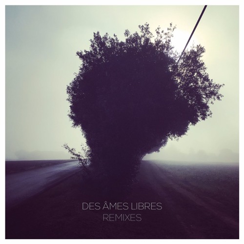 Des Ames Libres - Up And Down (Brunetto Remix) *FREE DL*