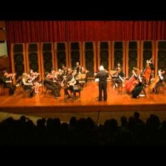 Lume de espelhos, para orquestra de cordas (2015)