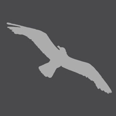 Payphone - Maroon 5 ft. Wiz Califa (RAP Part) (Cover)