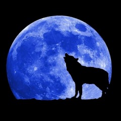Running With The Wolves - Aurora (a capella cover)