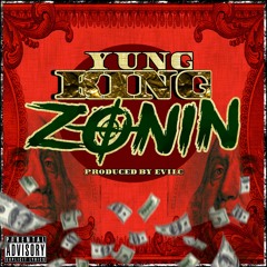 Zonin (clean) - Dj Pack