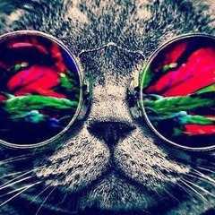2015 rave tracks