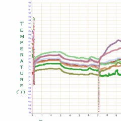 Compost Temperature Data Sonification: F˚ to Hertz Day 1