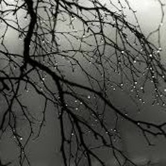 Reign (prod. by Nyles) Zay-Green