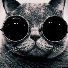 Redlight Feat. Ms Dynamite - What You Talkin About? (Stereo Remix)