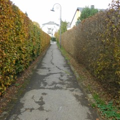 lana del rey bel air cover