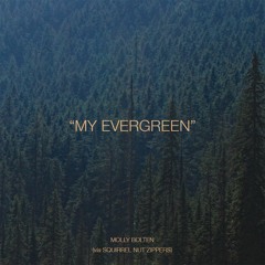 My Evergreen (Squirrel Nut Zippers Cover)