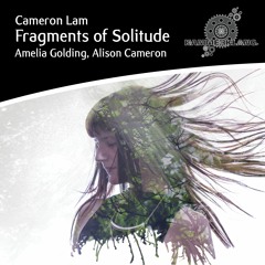 Fragments of Solitude