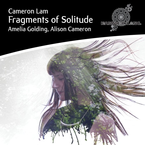 Fragments of Solitude