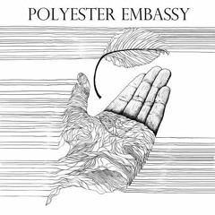 Polyester Embassy - have you (original vers.)