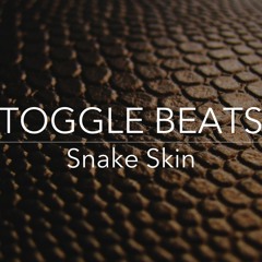 Snake Skin