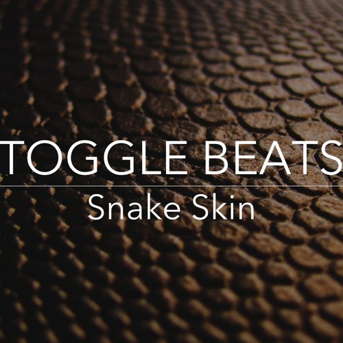 Snake Skin