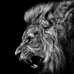 Infinite Gore - Absolute