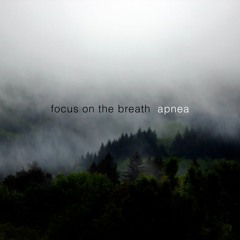 Focus on the Breath - Lucidity