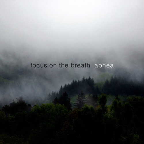 Focus on the Breath - Lucidity