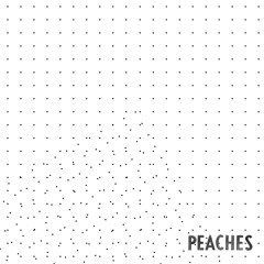 3. Vincent - Paolo - Hexa Lite