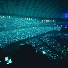 Shinee Selene 6.23 Split Headset